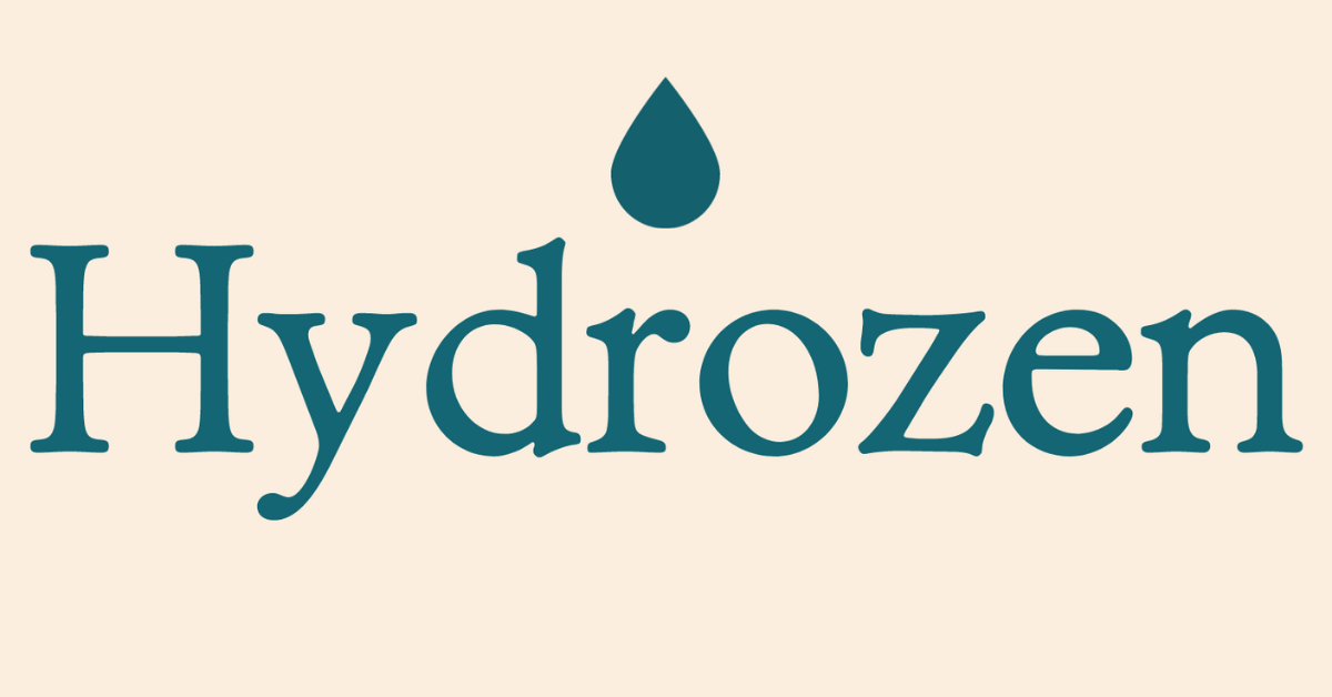 Hydrozen Bidet