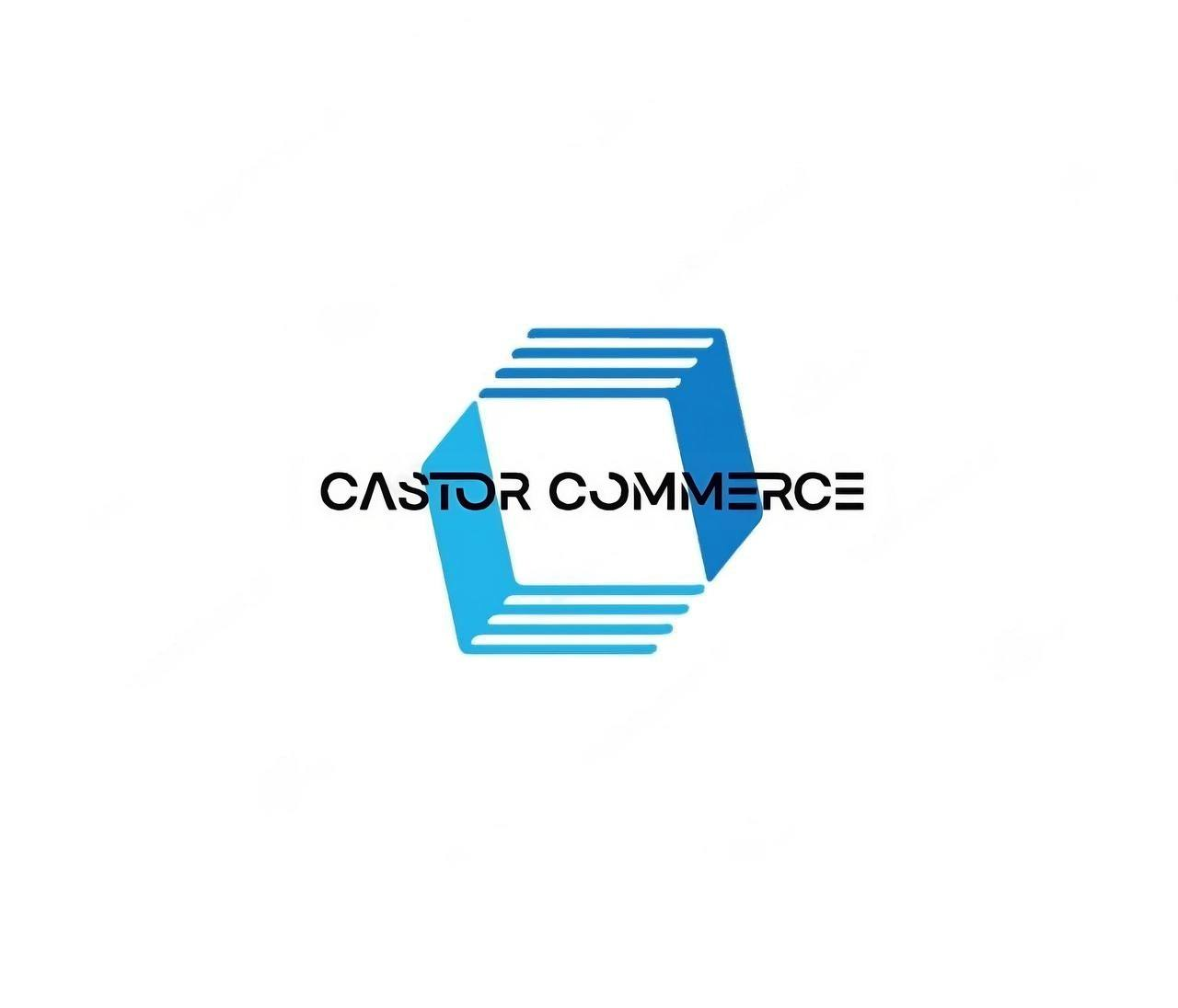 Castor Commerce LDA