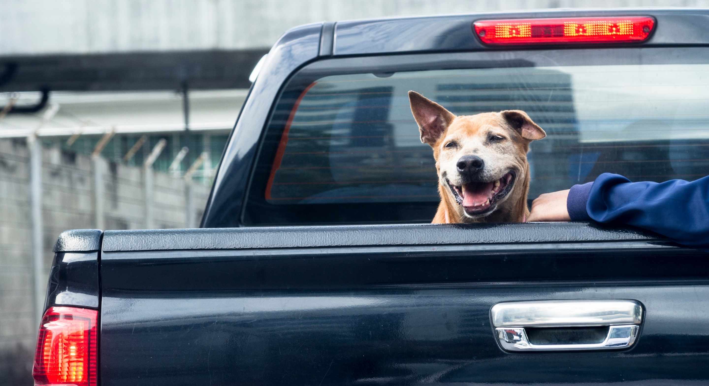 serviceforge for trades