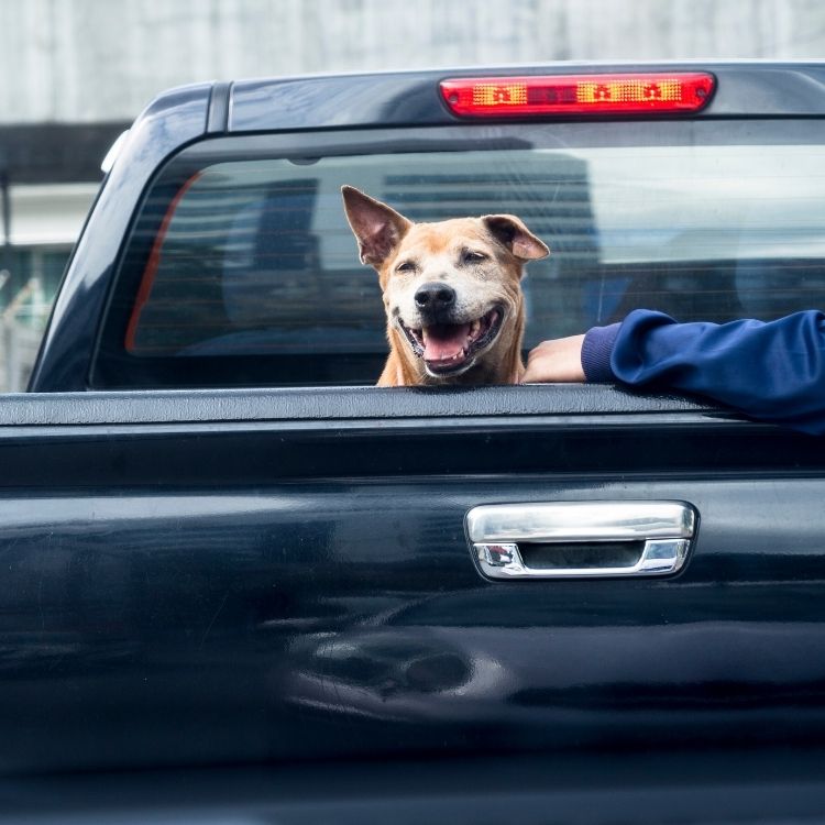 serviceforge for trades