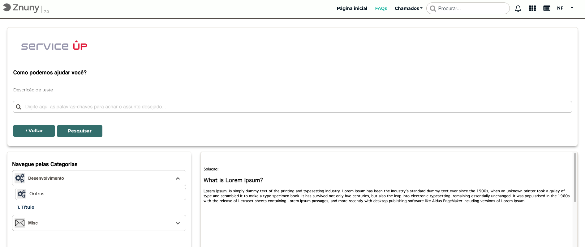 Tela de FAQ customizada no portal do cliente