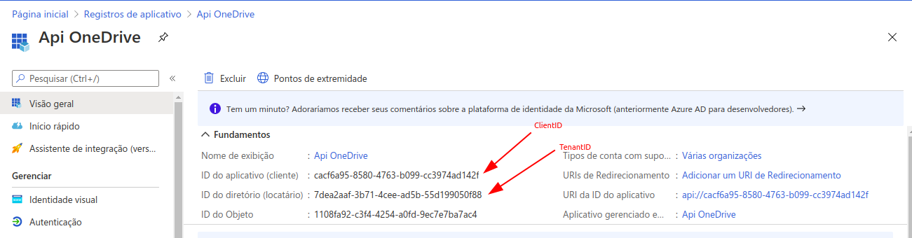 Parameters App OneDrive