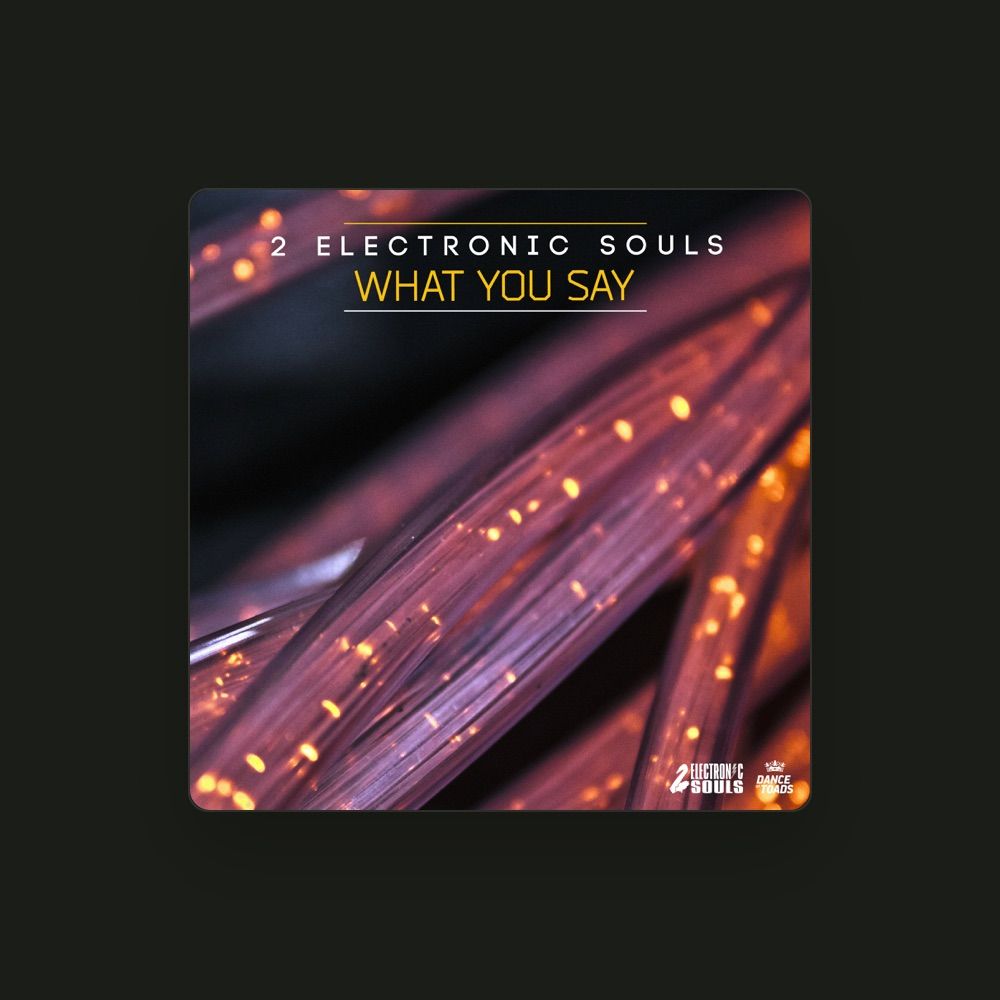 2 ELECTRONIC SOULS
