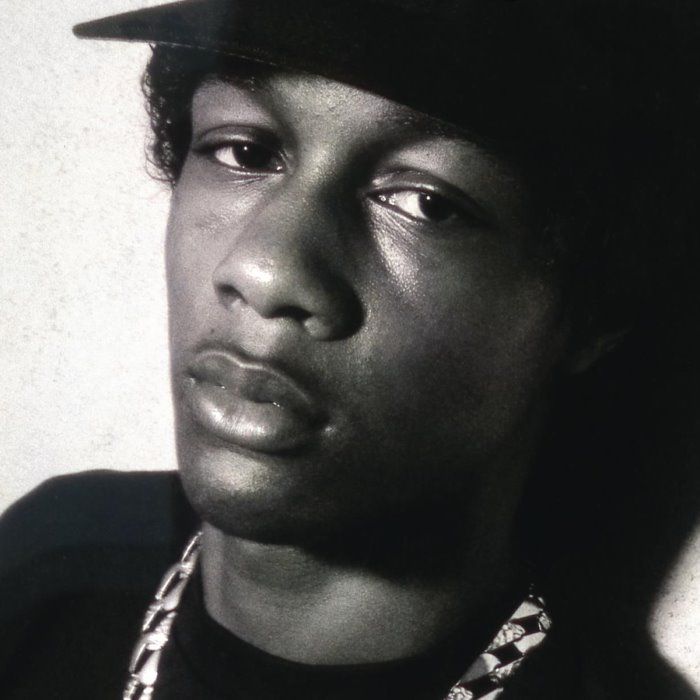 DJ Quik - G-funk artist