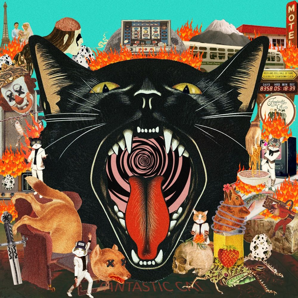 Fantastic Cat