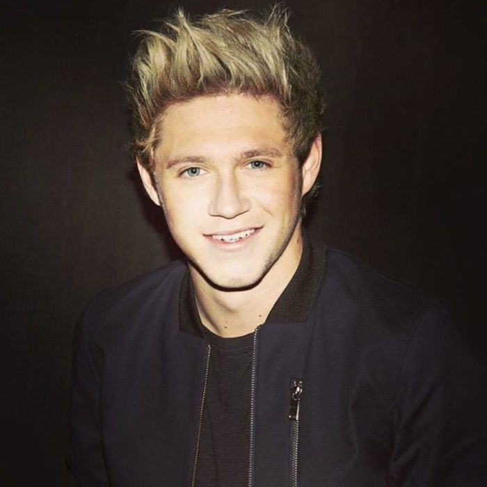 Niall Horan - Pop artist