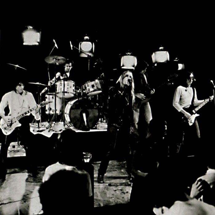 Radio Birdman - punk rock artist