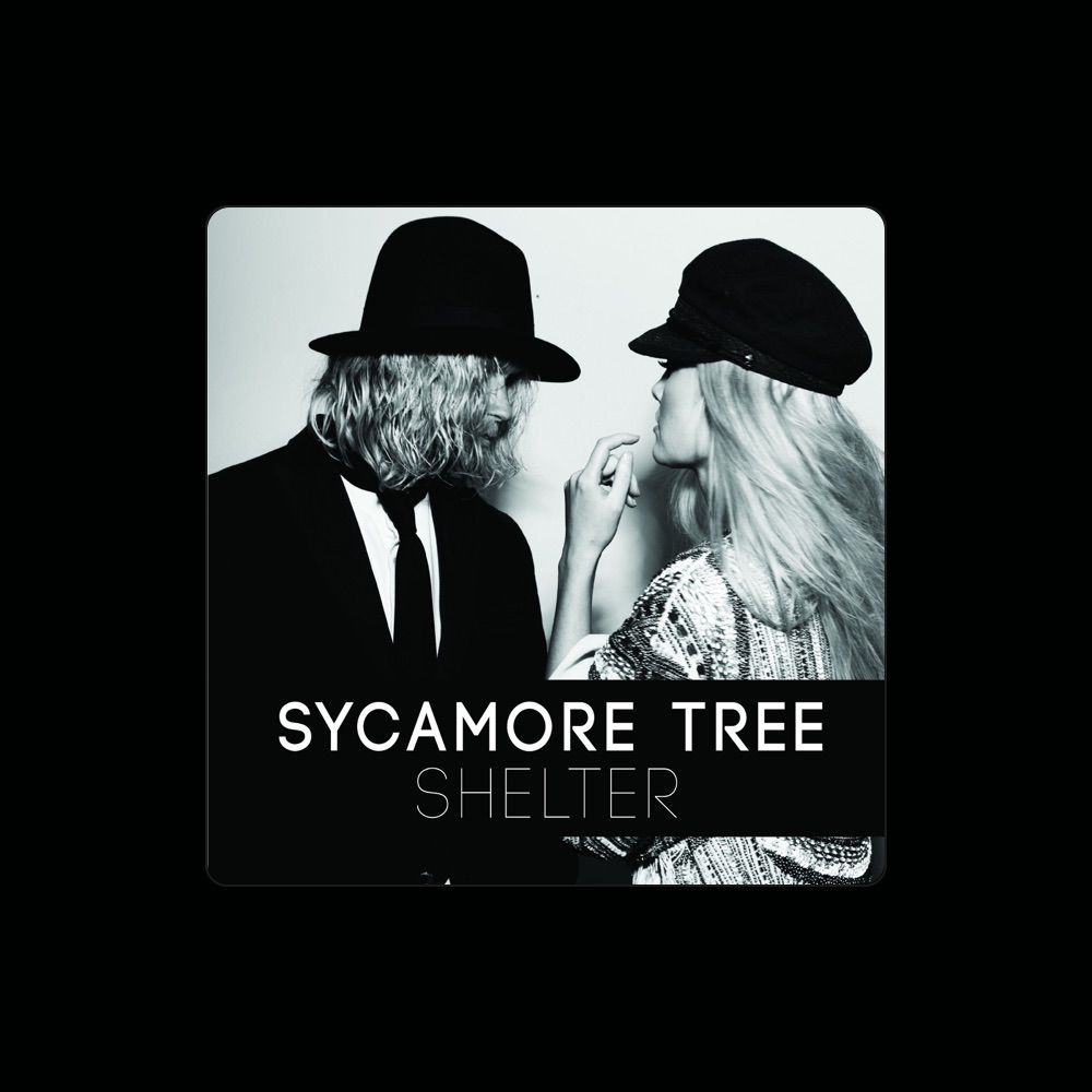 Sycamore Tree