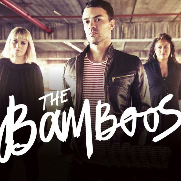 The Bamboos - Funk artist