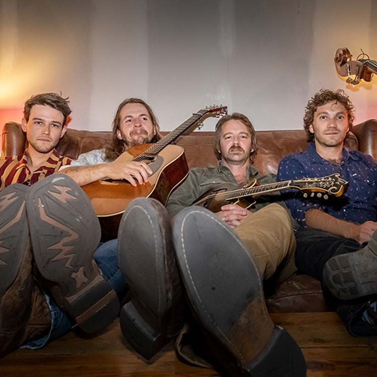 The Fretliners - Folk artist