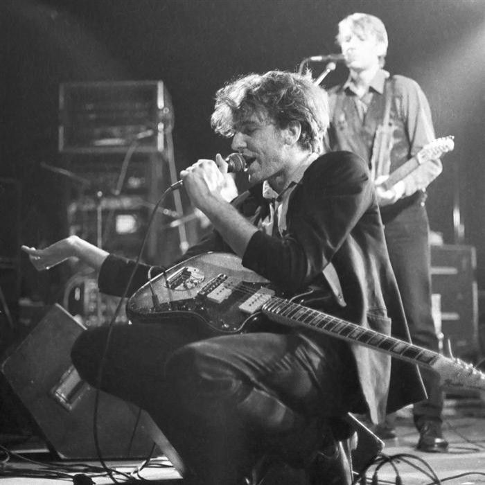 The Triffids - indie rock artist