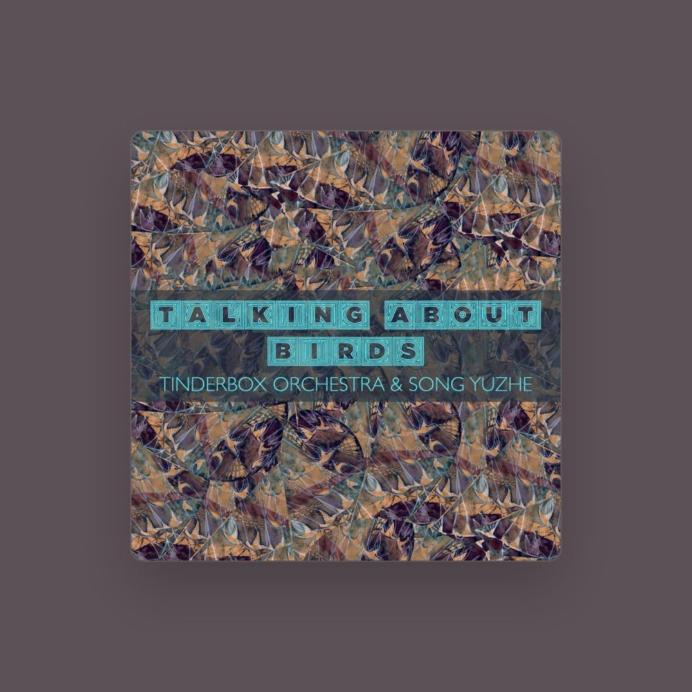 Tinderbox Orchestra - Alternative artist