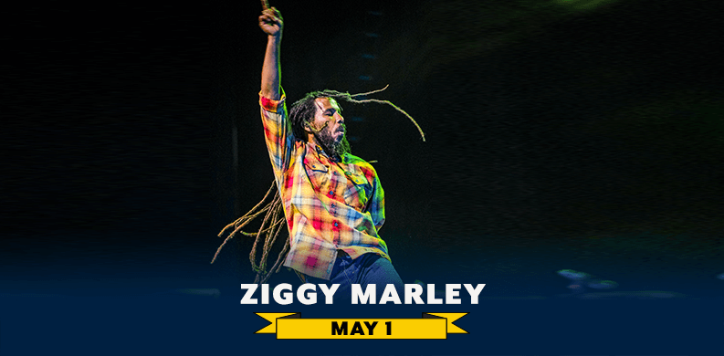 Ziggy Marley