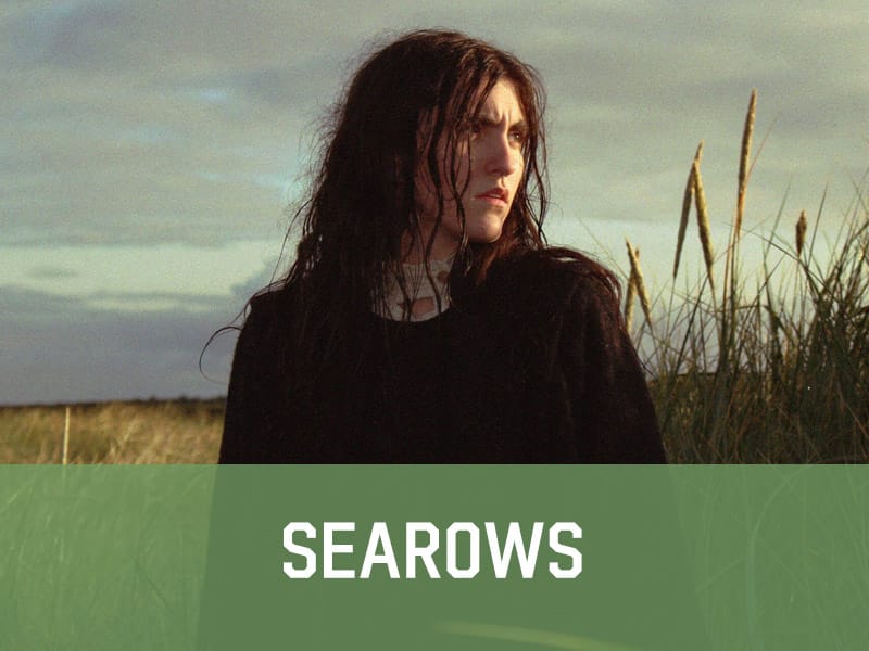 Searows