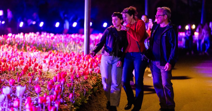 Floriade Night Fest