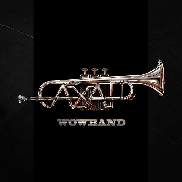 Wow Band