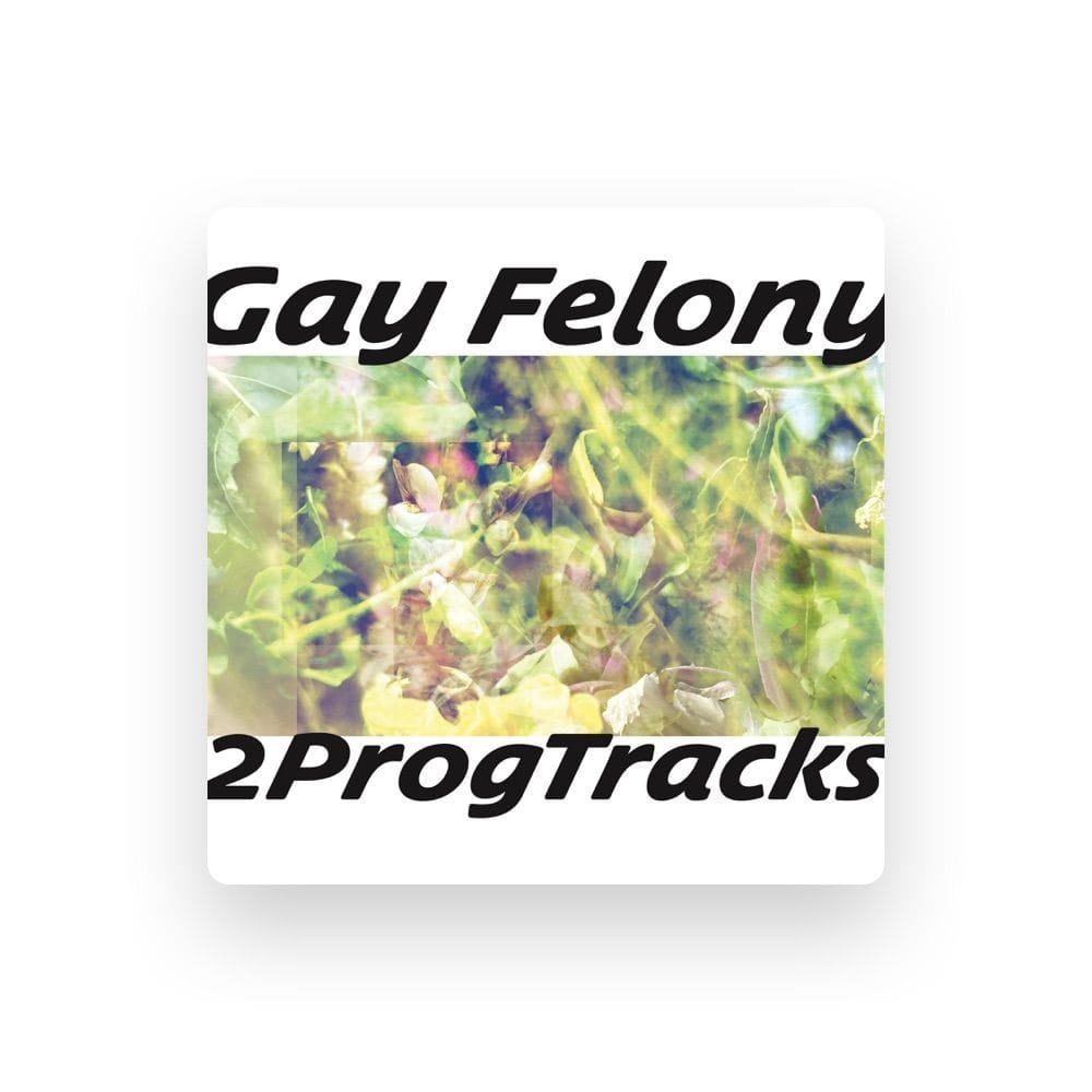 Gay Felony