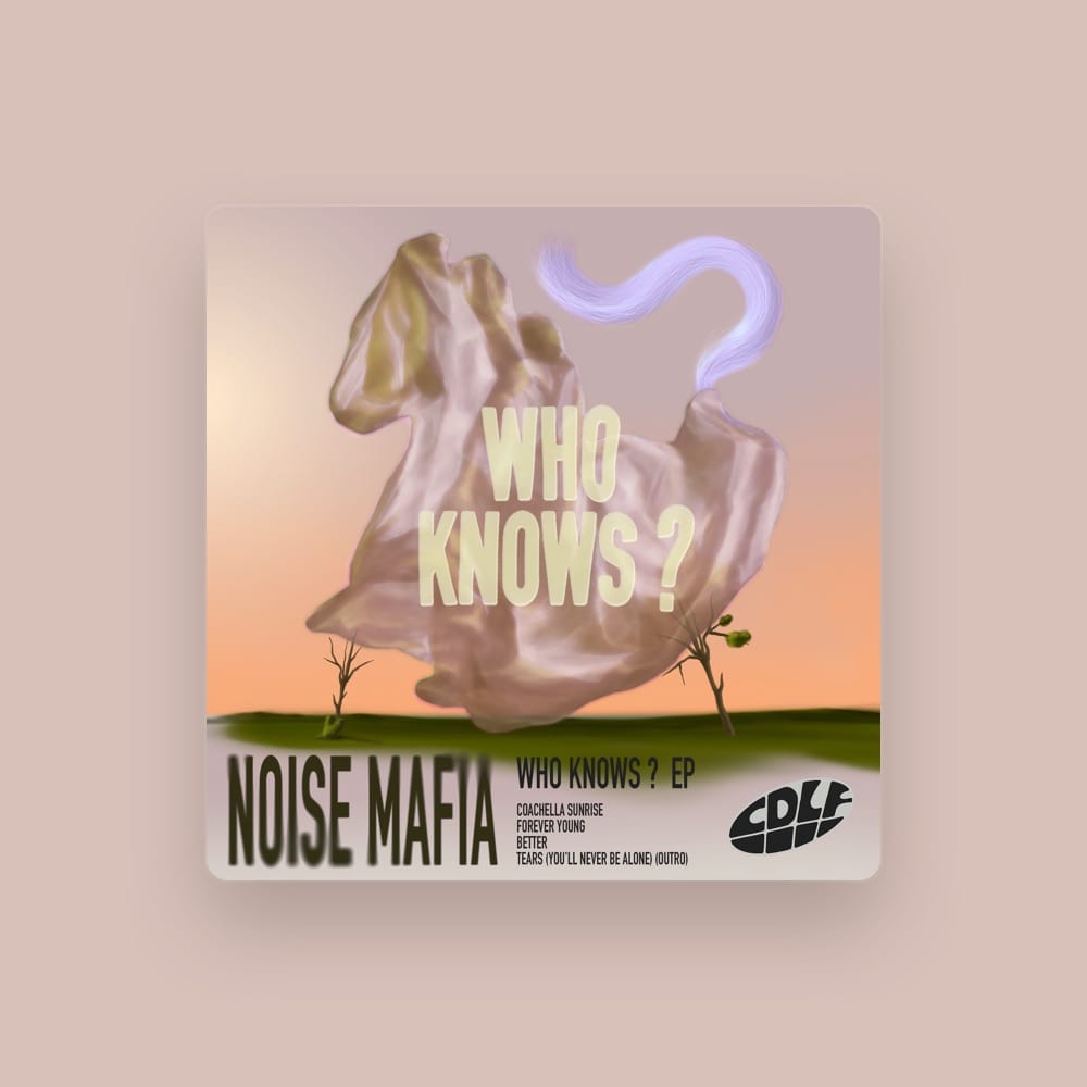 Noise Mafia