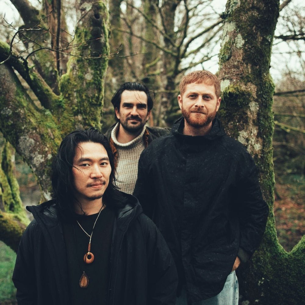UNITED FREEDOM COLLECTIVE