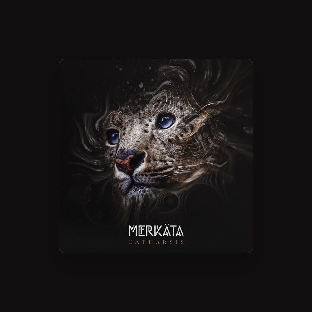 Merkäta
