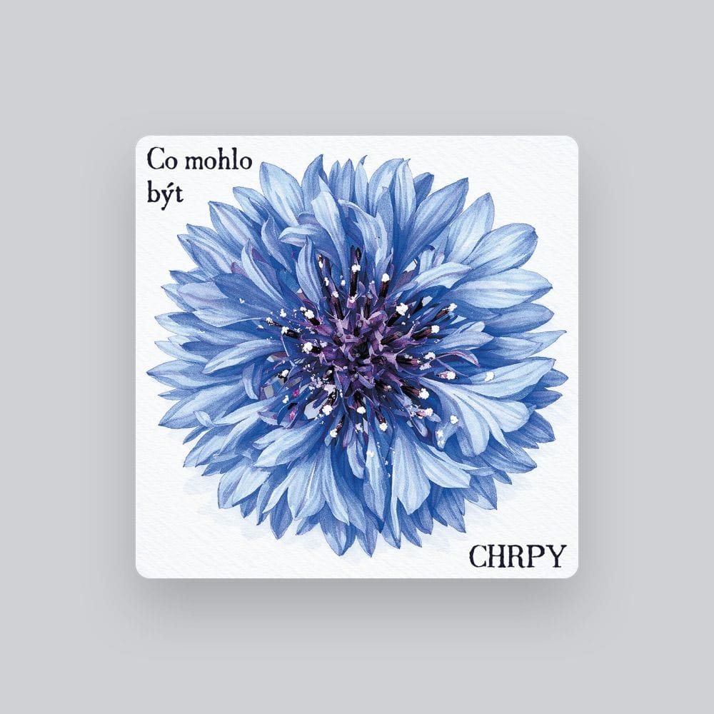 Chrpy