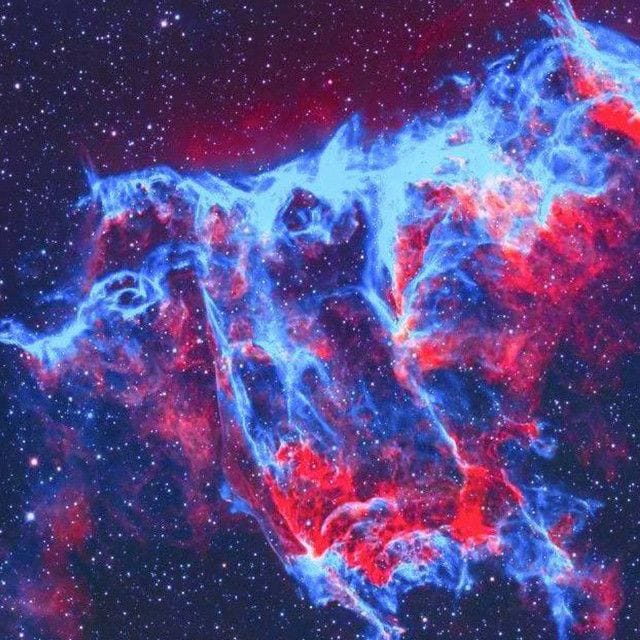Space Bats Attack!