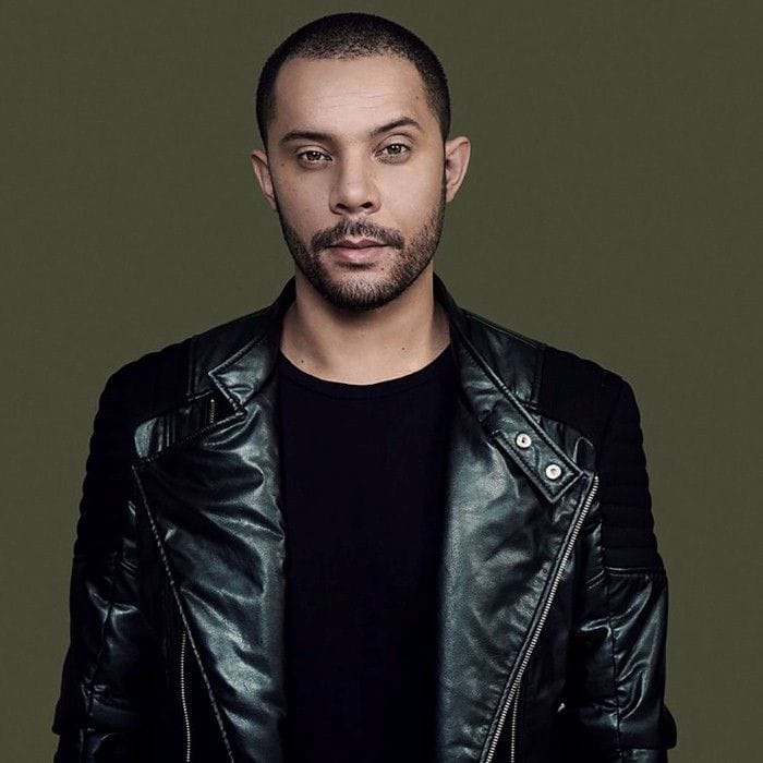 Wildstylez