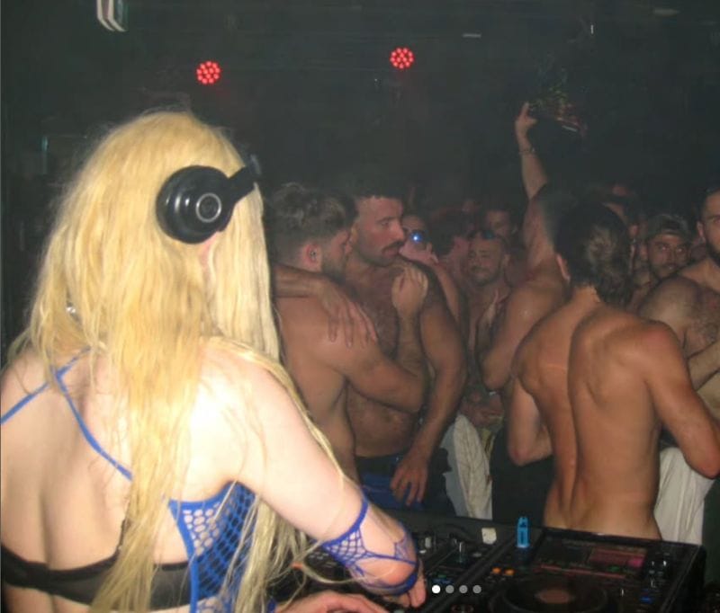 Dingo Disco