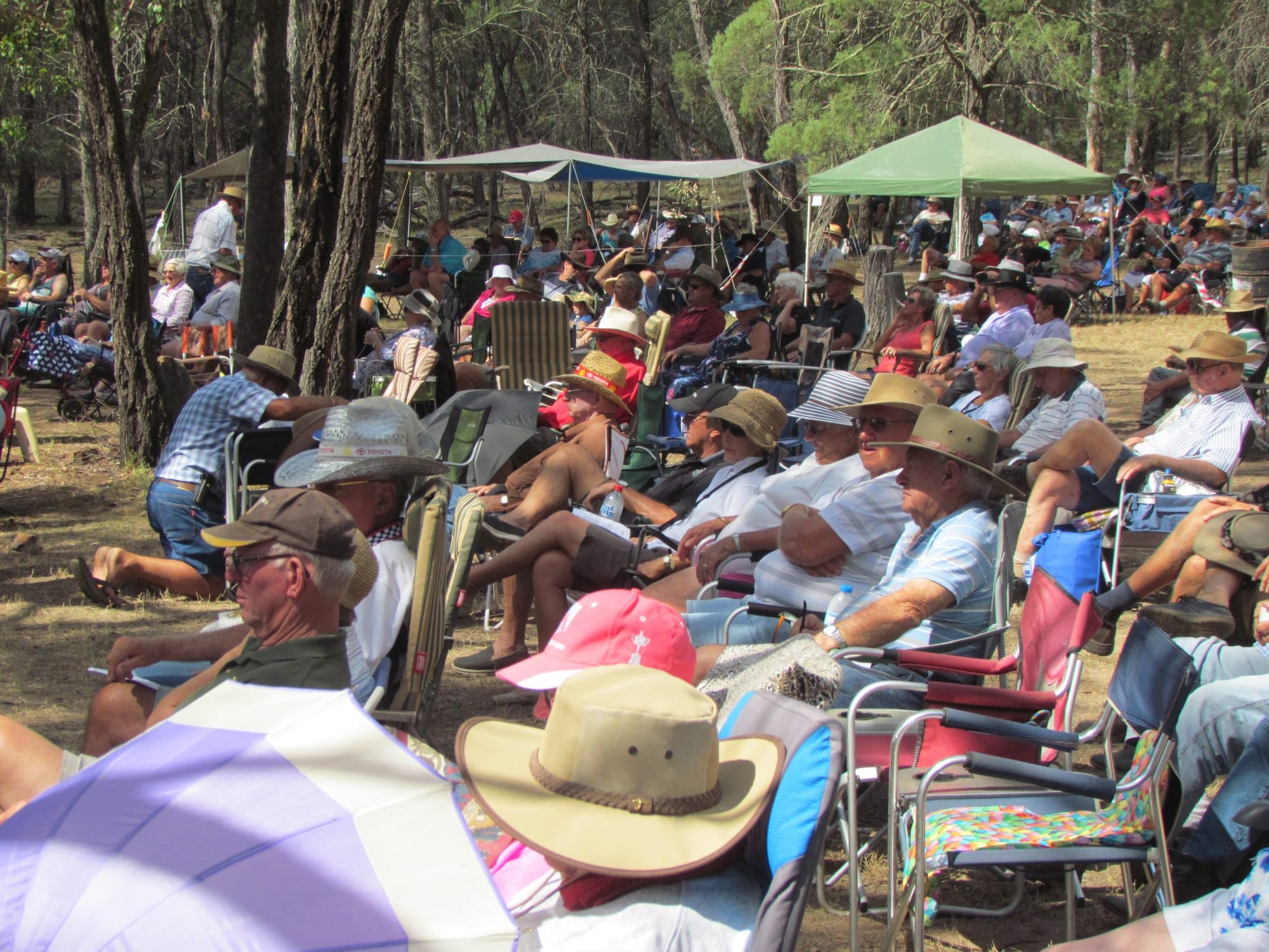 Hartwood Campfires & Country Music Folk & Country festival