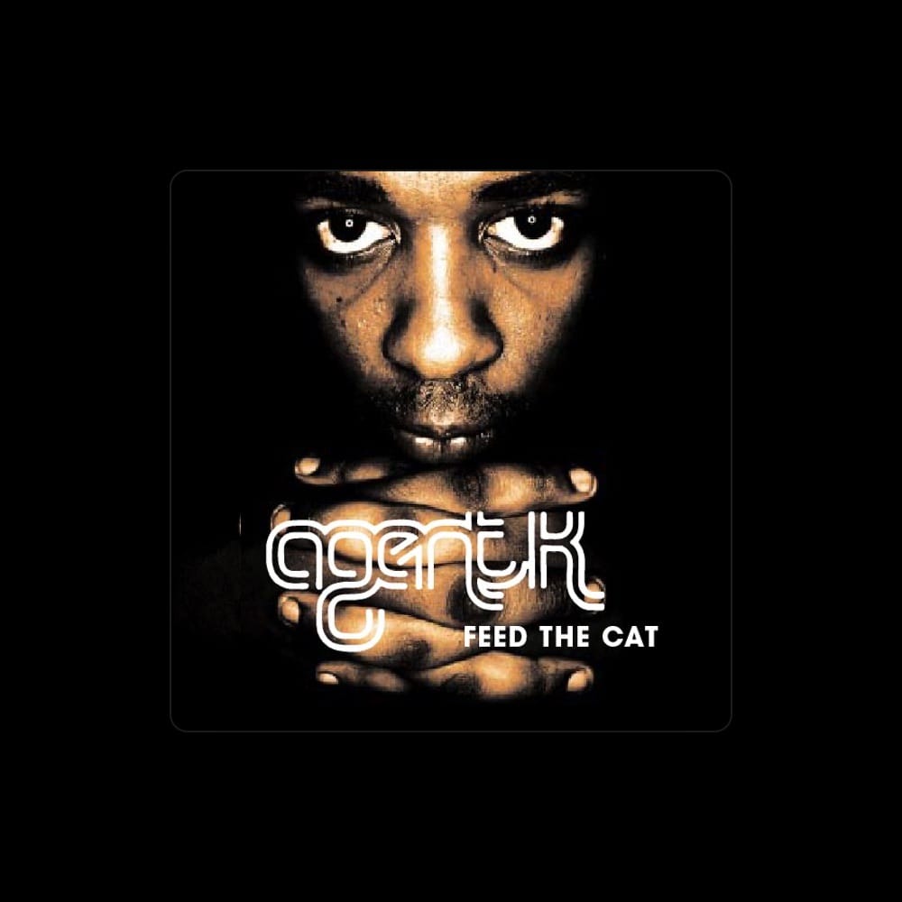 Agent K - Breakbeat artist