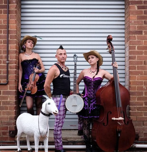 Hillbilly Goats