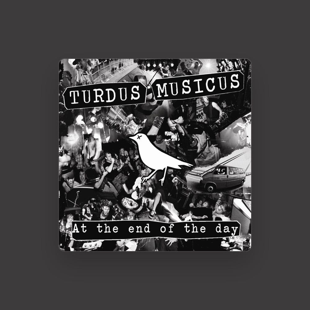 Turdus Musicus