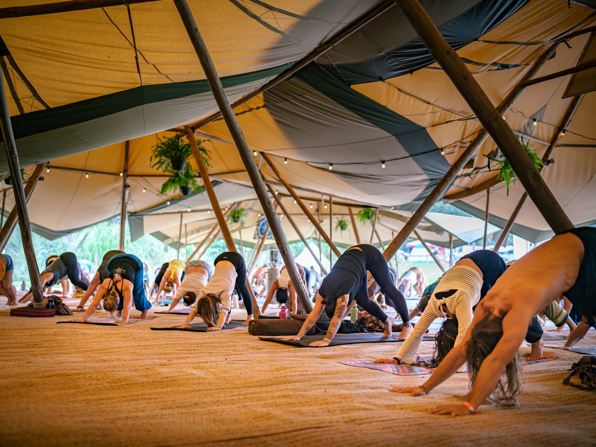 Morph Festival music festival in New Zealand