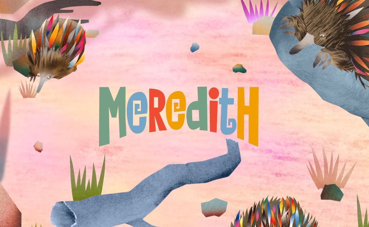 Meredith Music Festival
