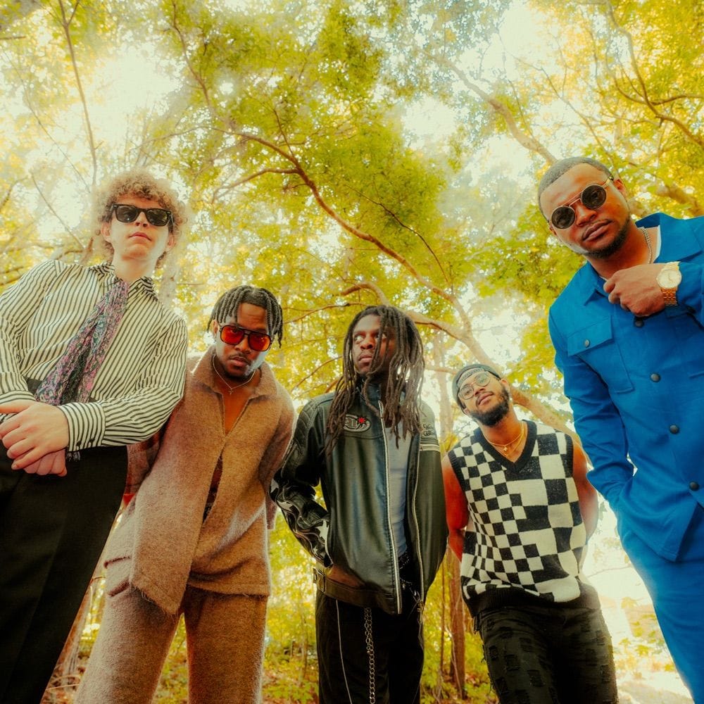 The Psycodelics