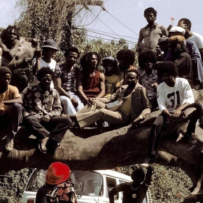 The Wailers