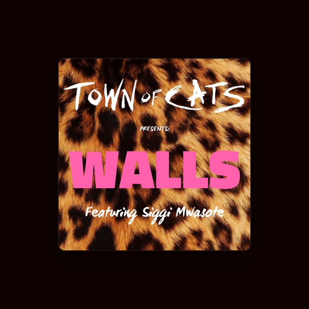 Town of Cats
