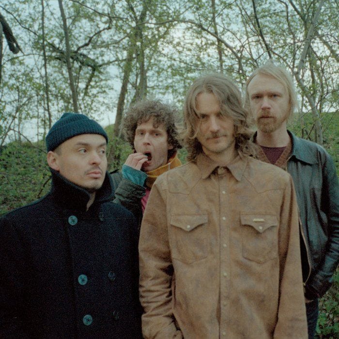 Dungen