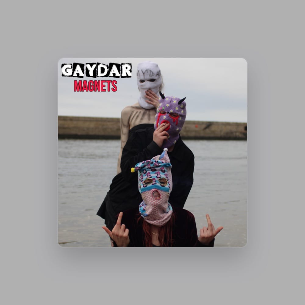 Gaydar