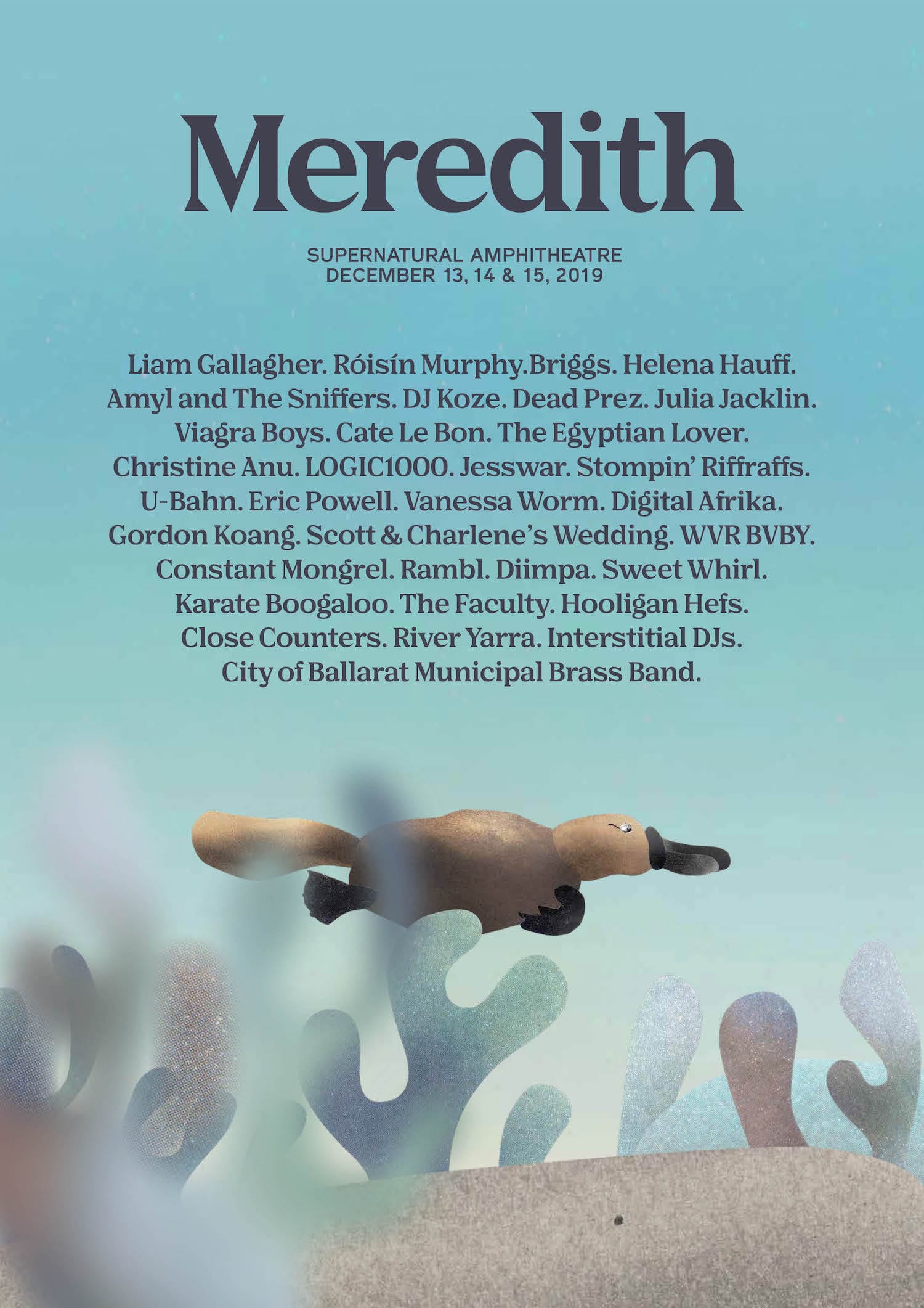 Meredith Music Festival