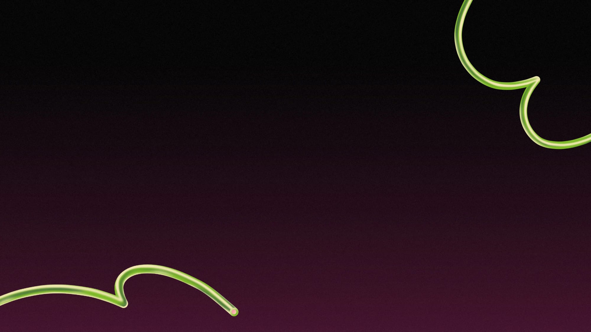 Bonnaroo Music & Arts Festival