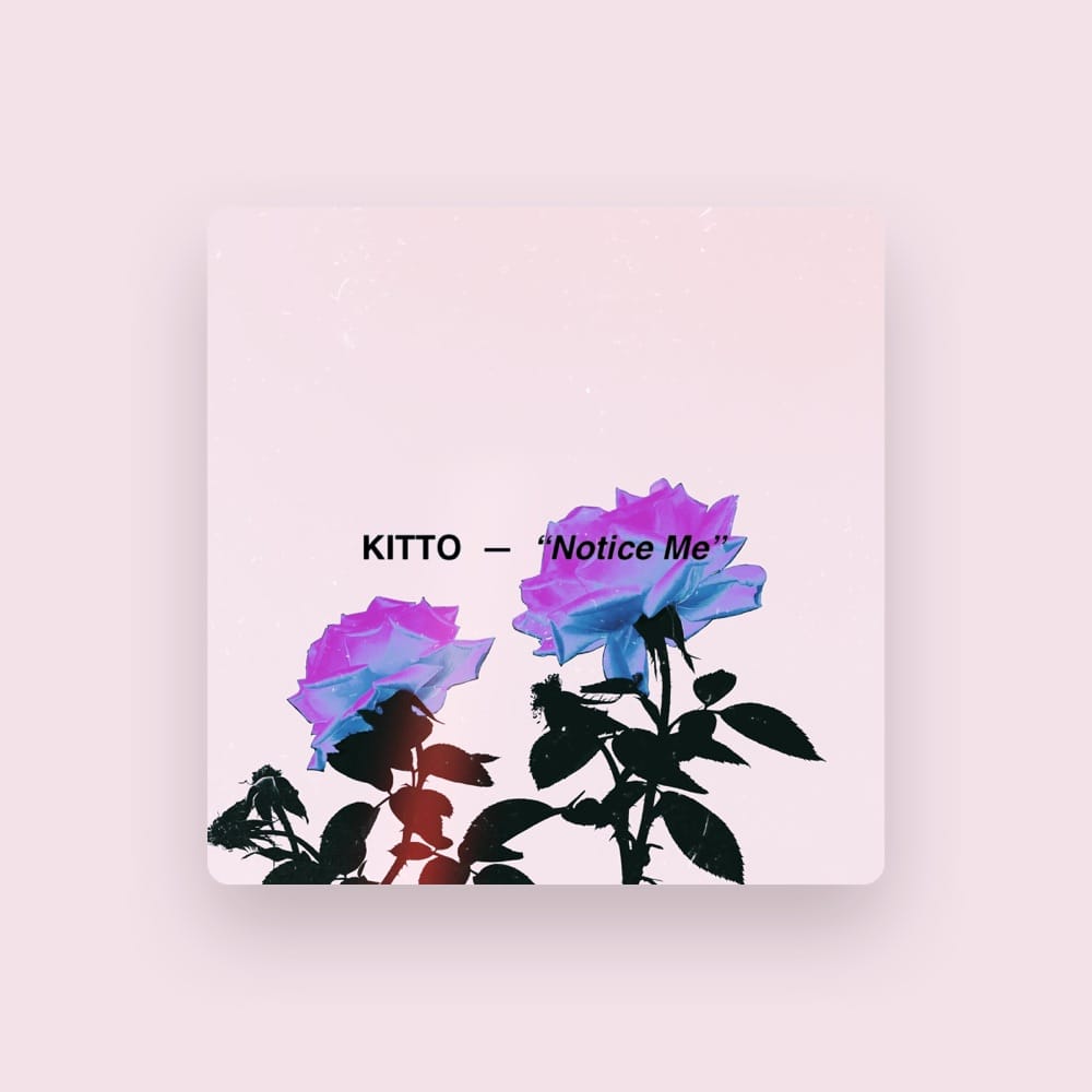 KITTO