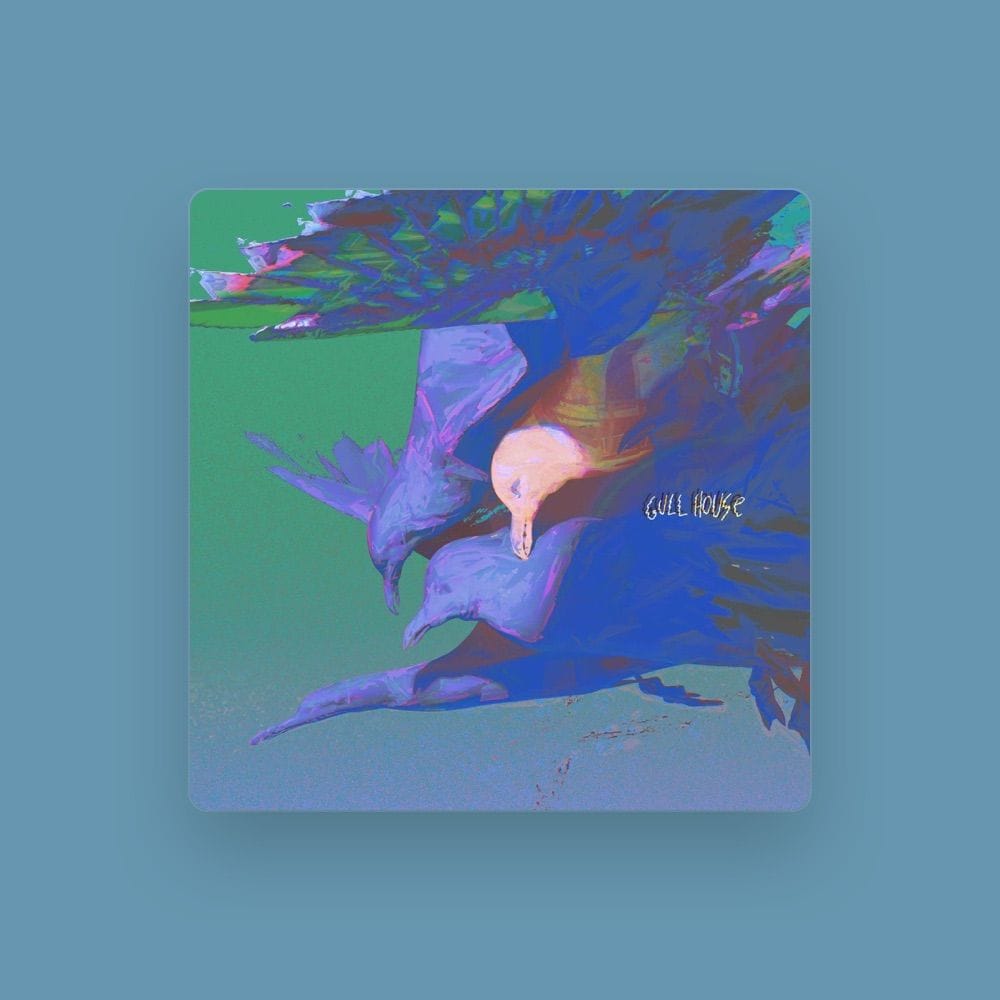 Gull House