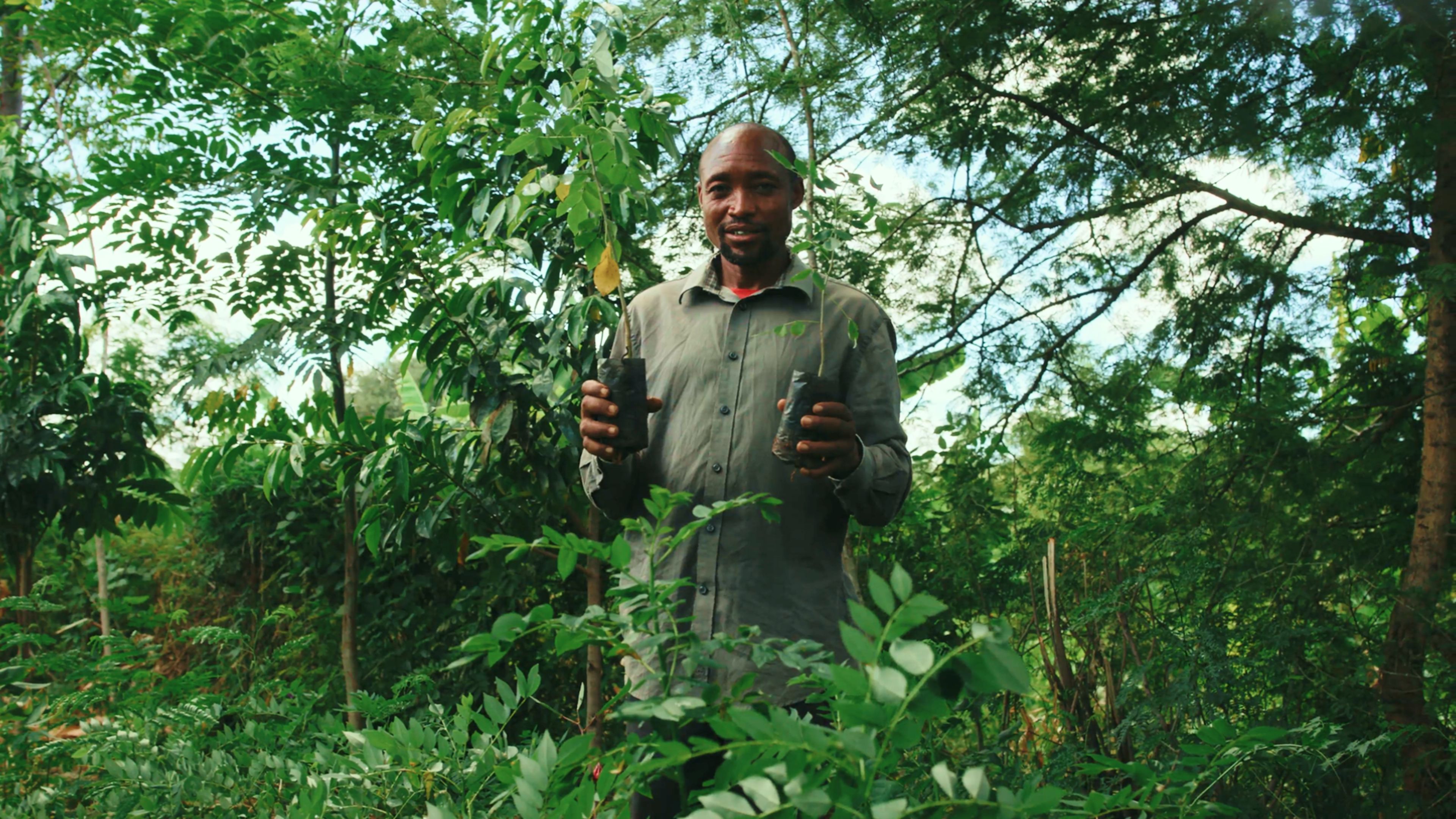 man standing in trees