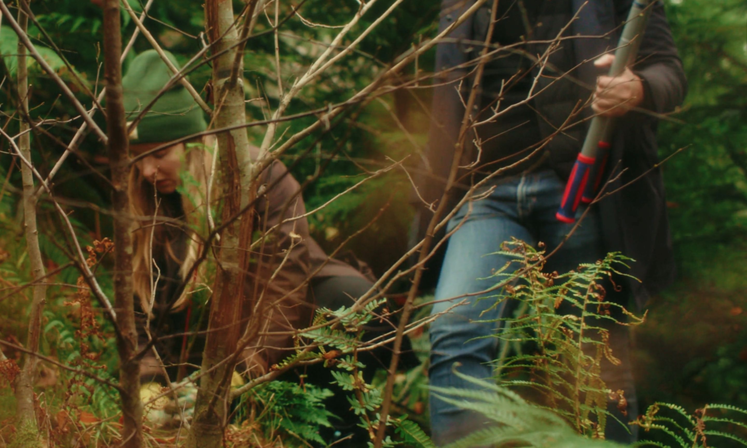 woman wearing hat, planting small tree