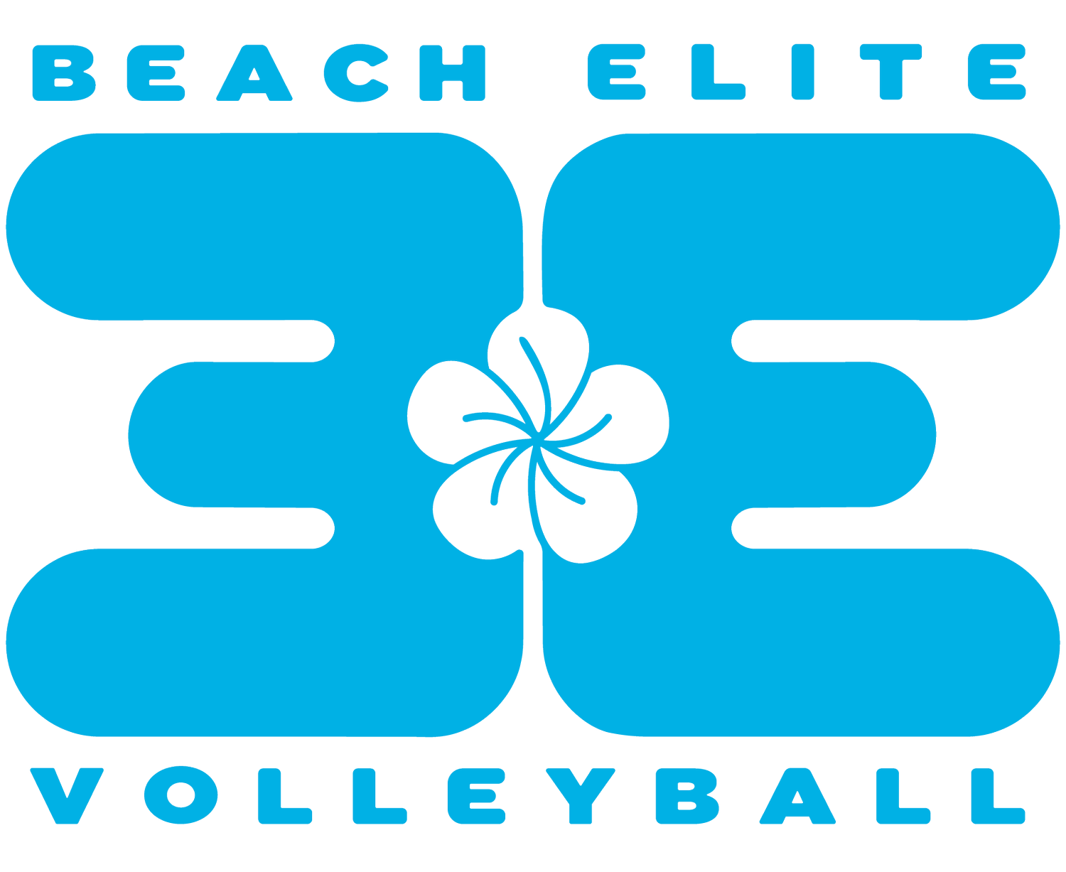 Northern Elite Volleyball Academy logo