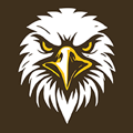 Apple Valley JO Volleyball (VAA) logo