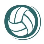 Blue Diamond Volleyball logo