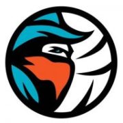 South County Bandits logo