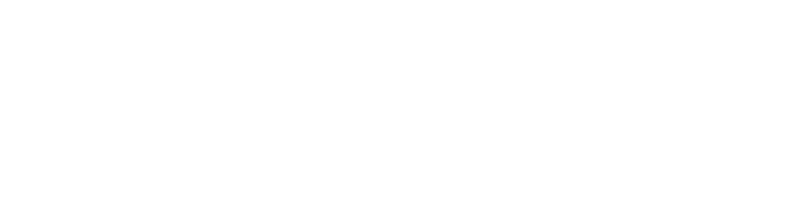 Guaynabo Mets Volleyball logo